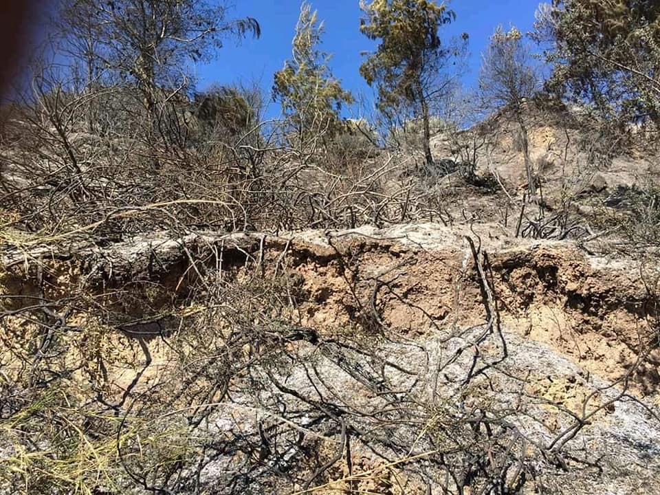 Ηλεία: Τέθηκε υπό έλεγχο η πυρκαγιά σε αγροτοδασική περιοχή κοντά στο χωριό Πόθος Δήμου Αρχ. Ολυμπίας (photos)