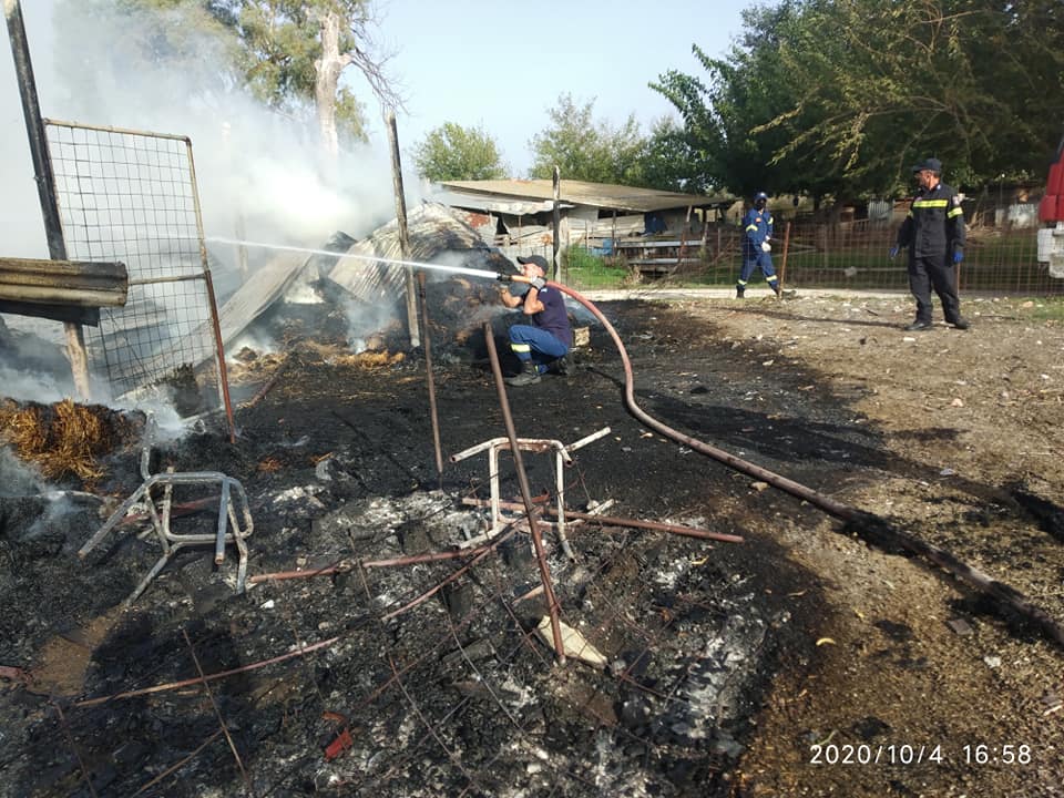 Λεχαινά: Πυρκαγιά σε στάβλο με σανό τον κατέστρεψε ολοσχερώς (photos)