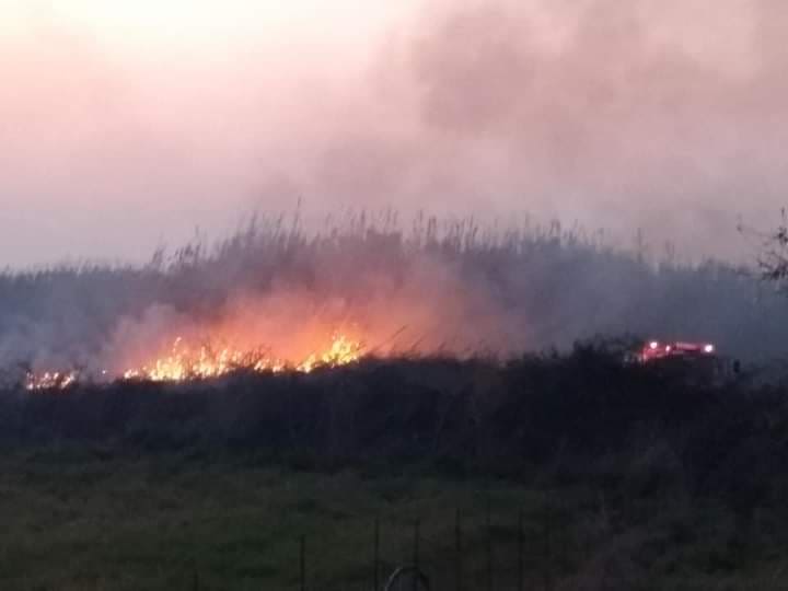 Βάρδα: Φωτιά σε χορτολιβαδική έκταση, καλάμια και βάτα στο Καπελέτο- Στο σημείο πυροσβεστικές δυνάμεις