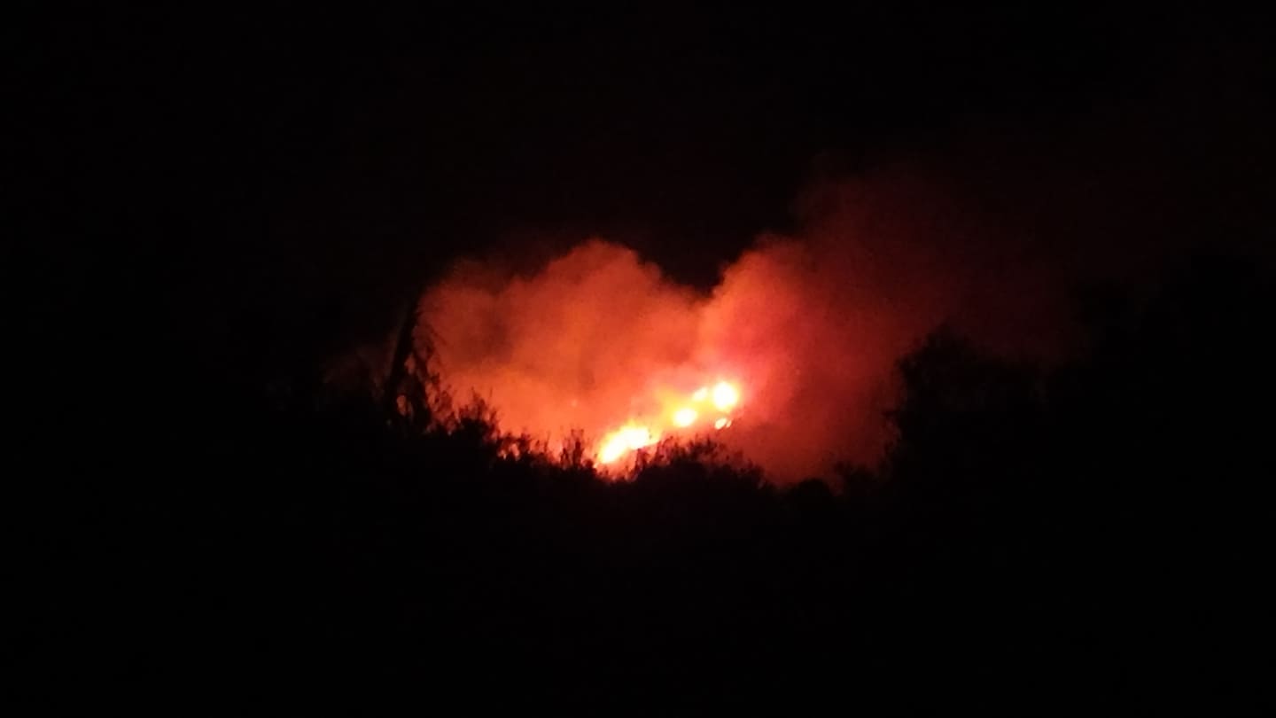 Πύργος: Φωτιά σε δασική έκταση κοντά στην ΤΚ Κορυφής- Εντολή για προληπτική εκκένωση του οικισμού- Μέτωπο της φωτιάς κινείται προς Φωναίτικα (Photos)