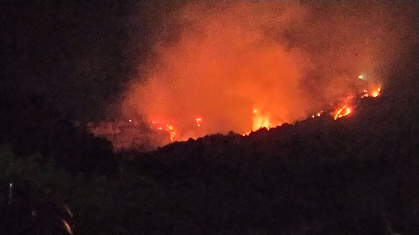 Πύργος: Φωτιά σε δασική έκταση κοντά στην ΤΚ Κορυφής- Εντολή για προληπτική εκκένωση του οικισμού- Μέτωπο της φωτιάς κινείται προς Φωναίτικα (Photos)